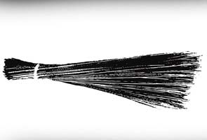 Aam Aadmi Party gets broom as symbol for election