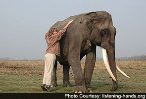 Joyraj, Kaziranga's prize elephant, not well