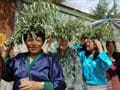 Bhutan elections: Opposition People's Democratic Party wins