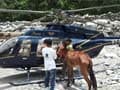 In Uttarakhand, a mule is rescued after 27 days in a daring operation