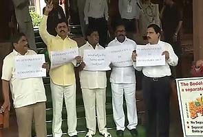 Telangana fallout: Demand for smaller states hits Parliament