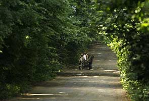 European forests getting older, soaking up less carbon dioxide: Study