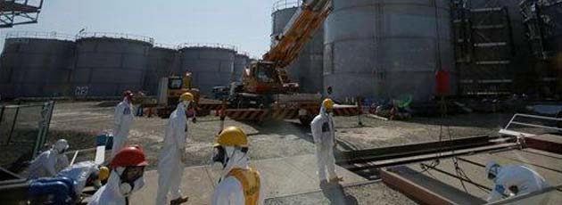 Radioactive spill from Japan's Fukushima nuclear plant may have reached sea: reports