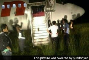 Plane skids off runway after hitting cow