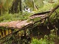 In rain-lashed Kerala, landslides, over-turned cars; Kochi airport closed
