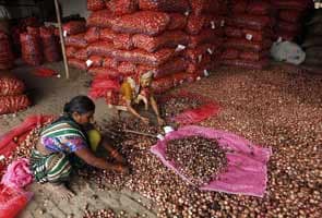 Onion prices remain high at Rs 60/kg in Delhi; wholesale rates soften