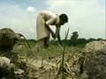Bihar government declares drought in 33 of 38 districts