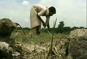 Bihar government declares drought in 33 of 38 districts 