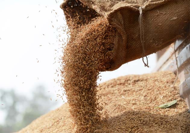 Centre Extends Food Grains Supply Scheme For Poor By Five Months