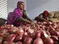Afghan imports bring down onion price in Indian wholesale markets