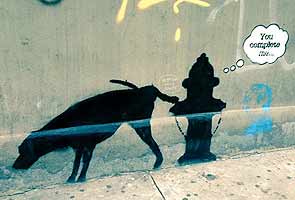 Elusive graffiti artist Banksy hits New York City