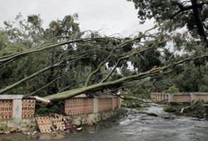 Rain brings new misery for Odisha cyclone survivors