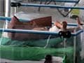 20 infants die in 72 hours at a government hospital in West Bengal