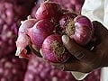 Onion prices: Sheila Dikshit to meet Sharad Pawar, KV Thomas today