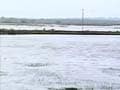 Cyclone Phailin: Cargo ship missing in West Bengal, rescue operations launched to locate crew