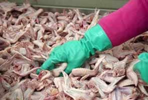 Salmonella outbreak sickens nearly 300 in US