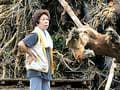 Typhoon, mudslides kill 17 in Japan; 50 missing