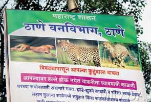 Forest department can't tell leopard from a cheetah