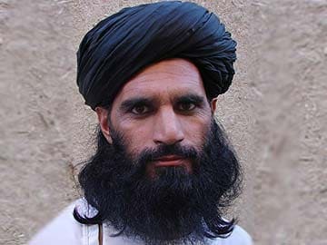 Pakistan Taliban appoint interim leader: spokesman