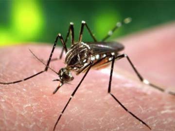 Delhi: 4,727 dengue cases reported