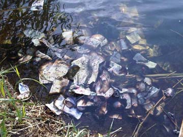 Dog walker finds 60,000 pounds floating in UK river