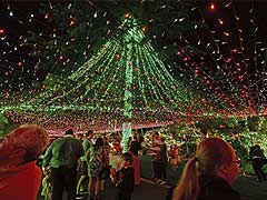 Australians set world record for Christmas lights