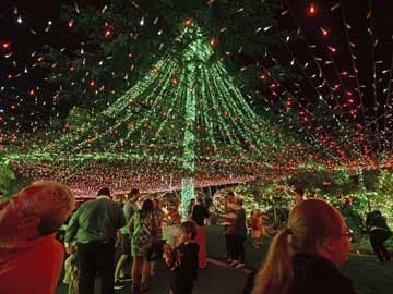 Australians set world record for Christmas lights