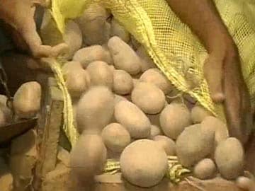 Potatoes vanish from West Bengal markets as Mamata government slashes price