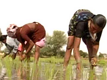 Chhattisgarh polls: Congress releases manifesto; focuses on farmers, poor