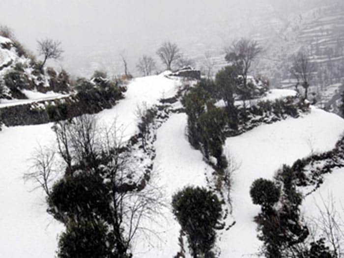 Kashmir continues to be in grip of cold wave