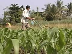 Sugarcane price: Maharashtra farmers give ultimatum to government