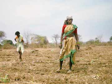Unable to buy Diwali gifts, five Vidarbha farmers commit suicide