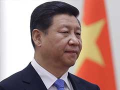 China's President Xi Jinping fails to earn stripes as anti-graft 'tiger' hunt underwhelms