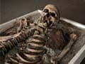 Skeleton of 1.34-million-year old human ancestor found