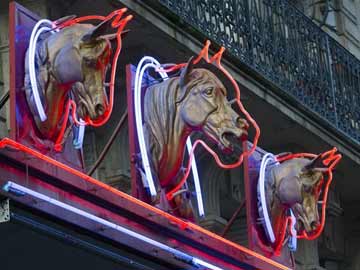 Horses used in labs end up on French dinner tables