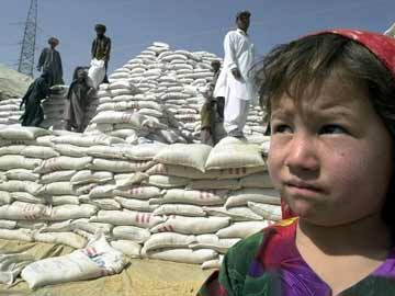 Indo-Pak nuclear war to 'end civilization' with famine: study 