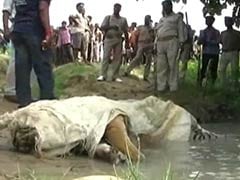 Two tigers killed near Corbett, 11 poachers arrested
