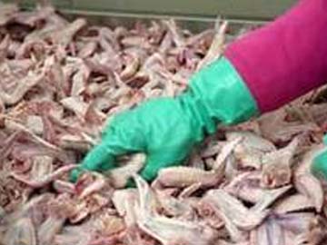 Report finds contamination in most chicken sold in US