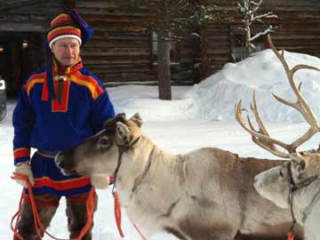 Things you didn't know about reindeer