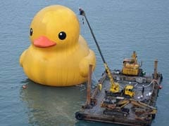 Giant yellow duck explodes in Taiwan, again