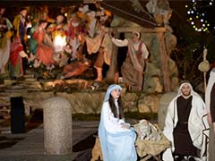 Vatican unveils Nativity scene on Pope's first Christmas