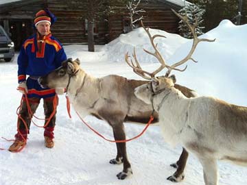 Scientists capture Rudolph's glowing nose on video