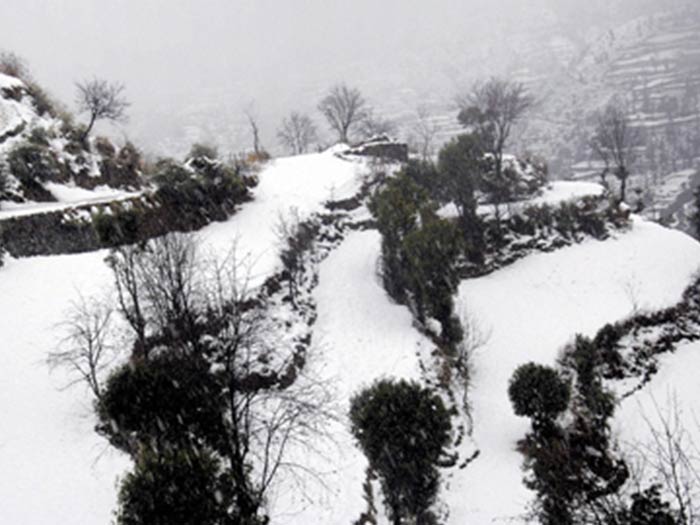 Cold wave tightens its grip on Kashmir Valley