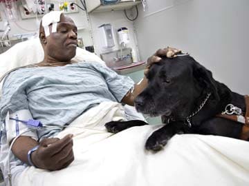 Hero dog saves blind man after a fall on subway track