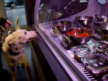 Berlin 'doggy deli' sparks howls of 'decadence'