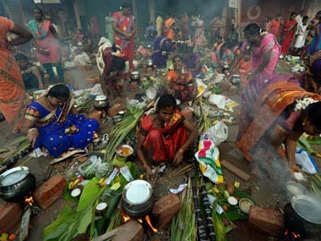 Tamil Nadu celebrates Pongal