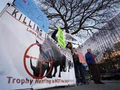 Permit to hunt endangered rhino sells for $350,000 despite protests