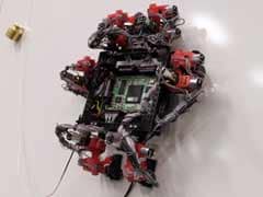India, Australia launch bio robots in Indian Ocean