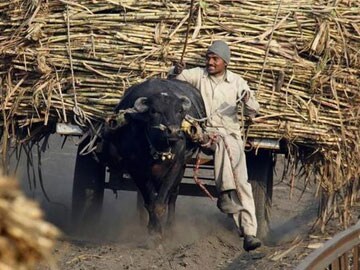 Rs 300 crore support price for Karnataka sugarcane farmers