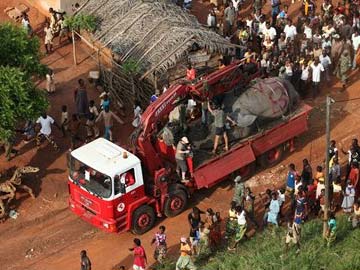 Ivory Coast pilots novel elephant rescue